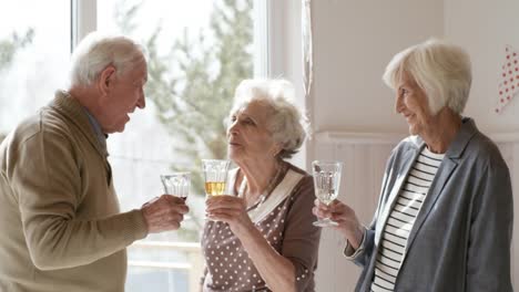 Senioren-Freunde-plaudern-und-trinken-Wein-auf-Party