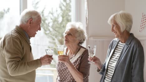 Senior-Friends-Chatting-and-Drinking-Wine-at-Party