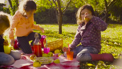 Picnic-en-el-jardín.-Niños-sentados-en-la-hierba,-compota-de-beber-y-comer-pastel