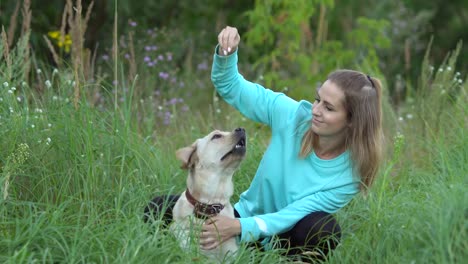 Mujer-joven-está-caminando-con-perro-en-el-bosque