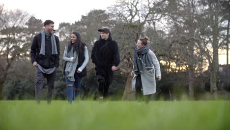 Gruppe-junger-Freunde-zu-Fuß-durch-den-Park-im-Winter