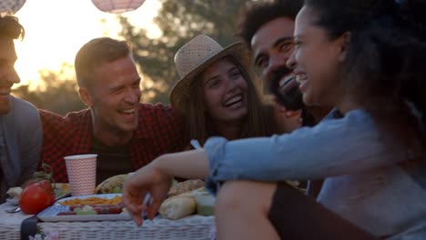 Freunde-mit-einem-Picknick-neben-Wohnmobil-miteinander-reden