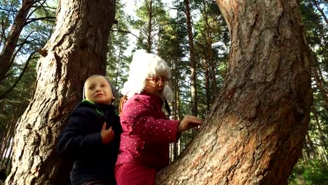 Boy-and-girl-sitting-on-a-large-tree.-The-children-have-planted-on-pine-tree-and-they-are-happy.-Sunday-holiday-with-children-in-the-park.