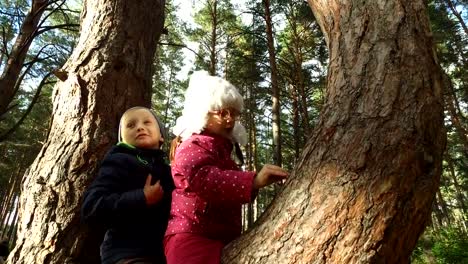 Junge-und-Mädchen-sitzen-auf-einem-großen-Baum.-Die-Kinder-haben-auf-Kiefer-gepflanzt-und-sie-sind-glücklich.-Sonntagsferien-mit-Kindern-im-Park.