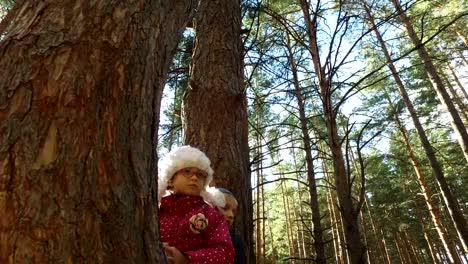 Boy-and-girl-sitting-on-a-large-tree.-The-children-have-planted-on-pine-tree-and-they-are-happy.-Sunday-holiday-with-children-in-the-park.