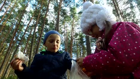 Junge-isst-Kuchen,-und-das-Mädchen-lachte.-Kinder-haben-Spaß-im-Park.-Urlaub-mit-Kindern-im-Park.