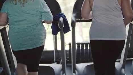 Getting-Slim-on-Treadmill