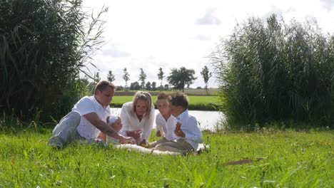 Family-doing-a-picnic-on-the-lawn