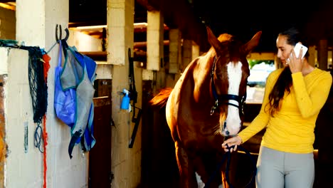 Woman-talking-on-mobile-phone-while-holding-a-horse-4k