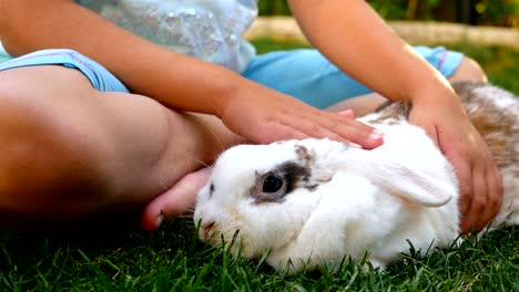 Mano-infantil-caricias-suave-blanco-conejo,-cerrar