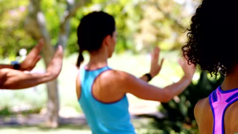 Group-of-people-exercising-in-the-park-4k