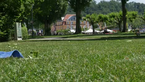 Resto-de-perro-en-el-lago