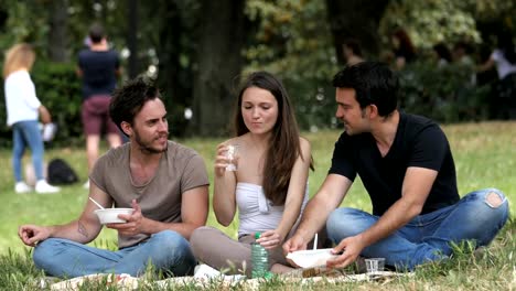 relaxed-friends-having-picnic-at-the-park