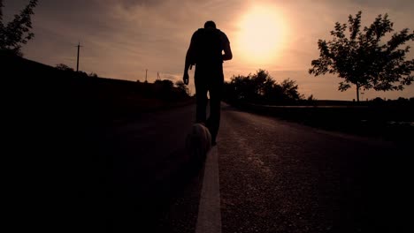 Mann-geht-mit-seinem-Hund-in-den-Sonnenuntergang