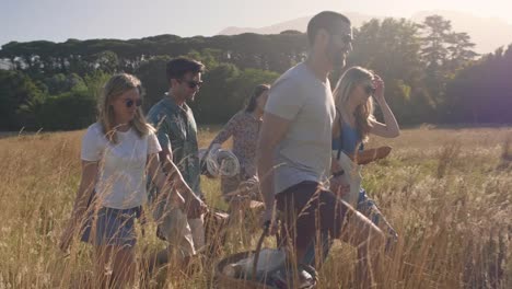 Amigos-de-vacaciones-de-verano-va-a-hacer-un-picnic