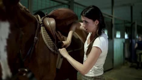 A-young-woman-fastens-belts-on-horse-saddle