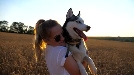 Nahaufnahme-des-glücklichen-Mädchen-in-Sonnenbrille-umarmen-und-küssen-ihre-Siberian-Husky-Hund-unter-den-Ährchen-an-Wiese.-Weibliche-Besitzer-mit-blonden-Haaren,-die-gemeinsame-Zeit-mit-ihrem-Haustier-auf-goldene-Weizenfeld.