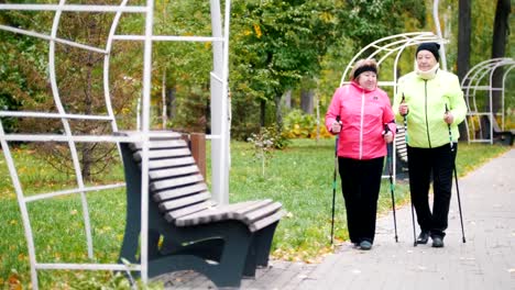 Alte-Frauen-in-Jacken-zu-Fuß-auf-Bürgersteig-in-einem-herbstlichen-Park-während-der-skandinavischen-spazieren-und-sitzt-auf-der-Bank