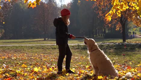 happy-little-girl-of-european-appearance-is-having-fun-playing-in-the-autumn-park-with-a-big-beautiful-dog