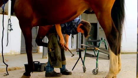 Woman-putting-horseshoes-in-horse-leg-4k