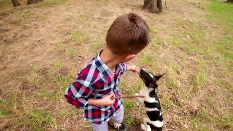 Juguetón-perro-jugando-con-el-dispositivo-se-sostiene-un-niño-pequeño