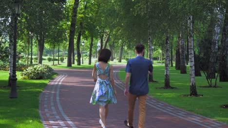 Young-couple-walking-park-with-birches,-holding-hands