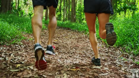 Jogging-in-the-Forest