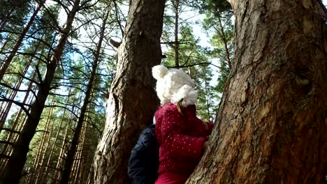 Junge-und-Mädchen-sitzen-auf-einem-großen-Baum.-Die-Kinder-haben-auf-Kiefer-gepflanzt-und-sie-sind-glücklich.-Sonntagsferien-mit-Kindern-im-Park.