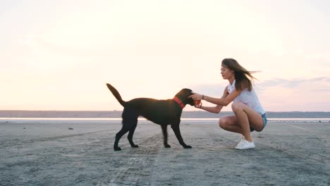 Joven-mujer-jugando-y-entrenando-perros-labrador-retriever-en-la-playa-al-atardecer