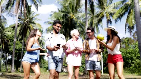 Grupo-de-personas-hablando-de-uso-celulares-inteligentes-celulares-caminando-al-aire-libre-bajo-palmeras,-hombre-de-raza-mezcla-sonriente-feliz-y-comunicación-de-la-mujer