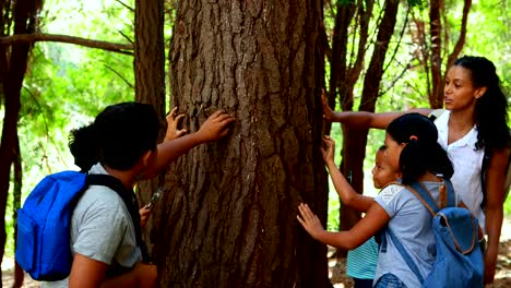 Frau-und-Kinder-untersuchen-Baumstamm-im-park