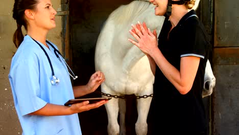 Veterinarian-and-woman-interacting-while-using-digital-tablet-4k