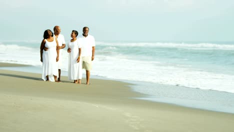 Two-laughing-African-American-senior-couples-by-ocean