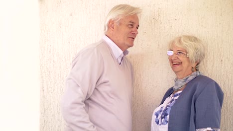 Baby-boomers,-Cheerful-Seniors-smiling-and-talking