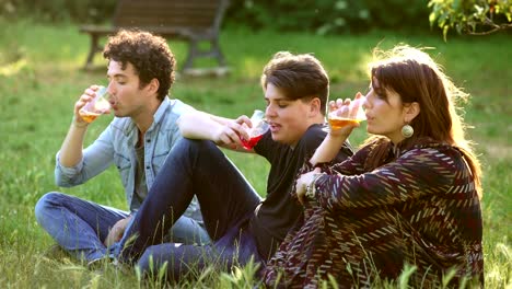 Summer-Time:-young-group-of-friends-on-the-lawn-drinking-beer-and-talking
