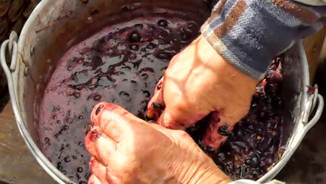 Hombre-presiona-la-uva-azul-con-las-manos,-para-el-vino.