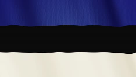 Animación-que-agita-la-bandera-de-Estonia.-Pantalla-completa.-Símbolo-del-país