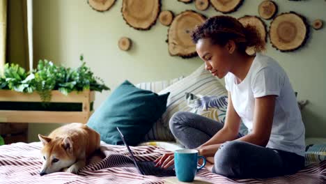 Modern-African-American-girl-is-using-laptop-and-drinking-coffee-sitting-on-bed-with-cute-puppy-relaxing-at-home.-Technology,-domestic-animals-and-people-concept.