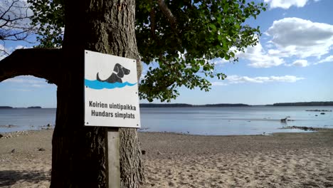 El-signo-de-la-playa-de-perro.-Una-playa-especial-para-perros-de-natación.