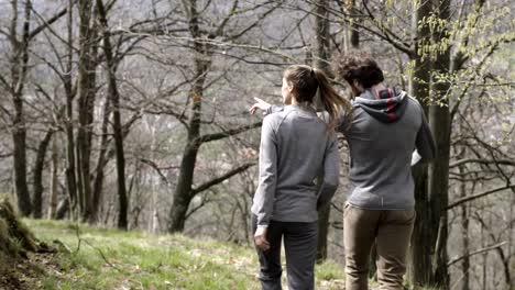 Hombre-y-mujer-a-pie-y-senderismo-en-bosques-bosques-de-abedul.-siguientes-detrás.-Personas-de-la-pareja-en-amor-otoño-viaje-al-aire-libre-en-la-naturaleza.-Día-soleado-de-otoño.-4-k-lenta-video