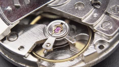 The-internal-clock-mechanism.-Macro.