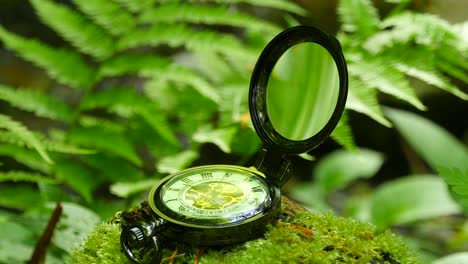 Pocket-Watch-on-Green-Moss