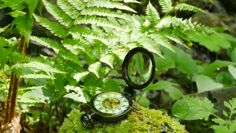 Pocket-Watch-on-Green-Moss