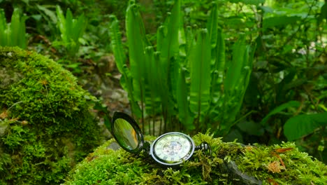 Pocket-Watch-on-Green-Moss