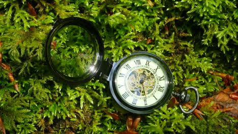 Pocket-Watch-on-Green-Moss