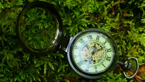 Pocket-Watch-on-Green-Moss