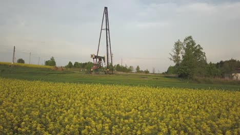 Oil-pump-station-and-raps-field.