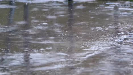 Gotas-de-lluvia-caen-al-pavimento-formando-un-charco