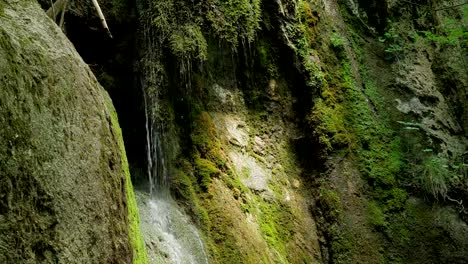 Zeitlupe,-Wasserfall-in-Bergen-in-high-Speed-Rolle.-Nahaufnahme-von-Quell-/Brunnenwasser-fällt-Tropfen-und-Spritzer-auf-grünem-Moos