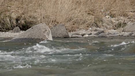 Ripples-on-river-flow-in-summer